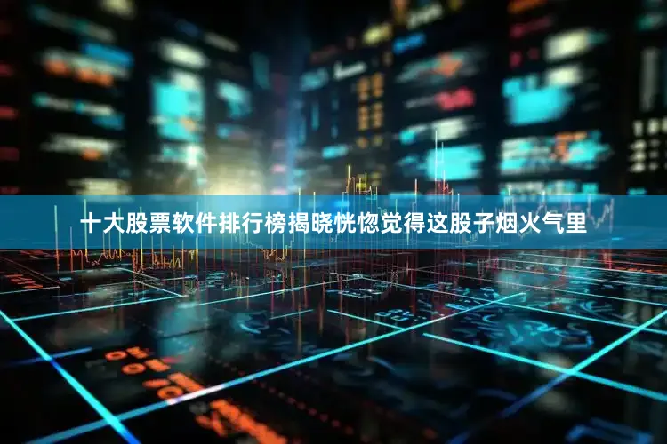 十大股票软件排行榜揭晓恍惚觉得这股子烟火气里